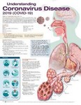 Understanding Coronavirus Disease 2019 (COVID-19) AnatomicalChart 2021